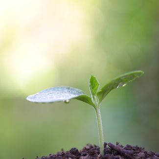 Green Commitment